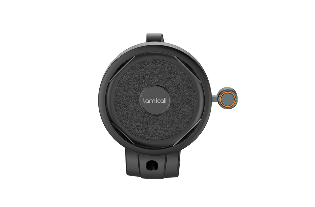 LAタグ付　ホマロメナ\"NJ×月輪\" Yahoo!オークション -「月輪」(観葉植物) の落札相場・落札価格