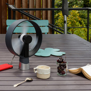 アンスラサイト