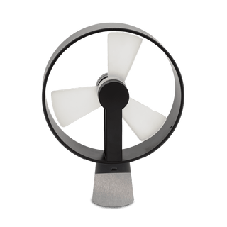 アンスラサイト