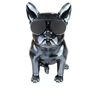 AeroBull  HD1