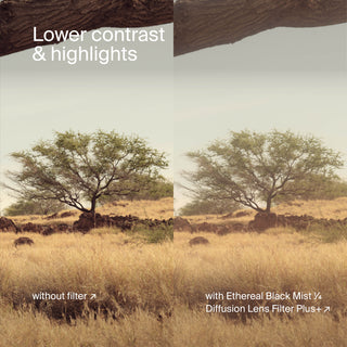 Urth Ethereal ¼ Black Mist Filter Plus+ <br>エテール ¼ ブラックミスト レンズフィルター (プラス+)