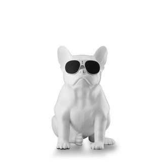 AeroBull  HD1
