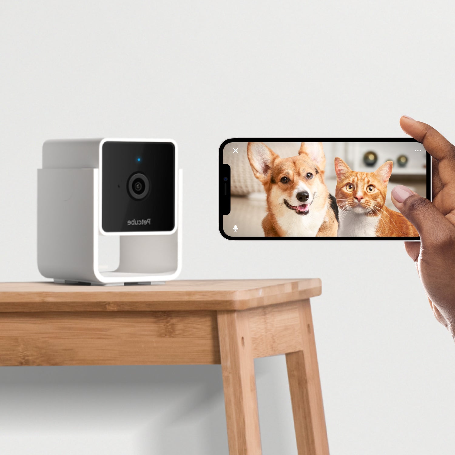 PETCUBE – Modernity Store
