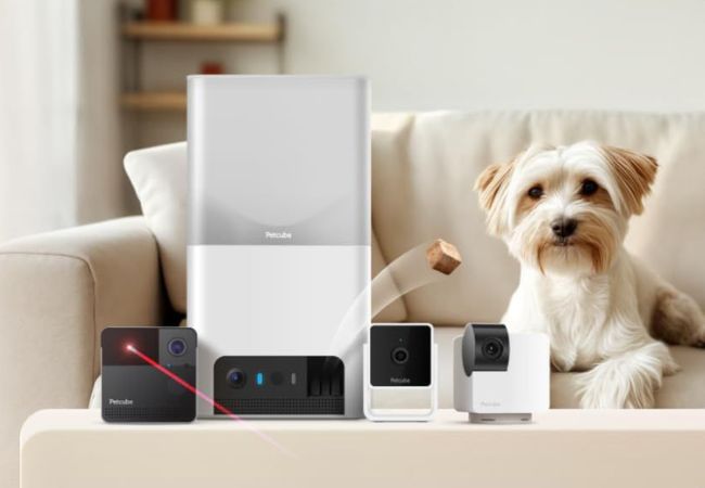 PETCUBE – Modernity Store