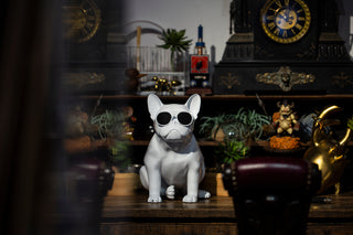 AeroBull XS1
