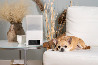 Petcube Bites 2 Lite 室内用ペット見守りカメラ(おやつディスペンサー搭載)