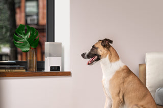 Petcube Bites 2 Lite 室内用ペット見守りカメラ(おやつディスペンサー搭載)
