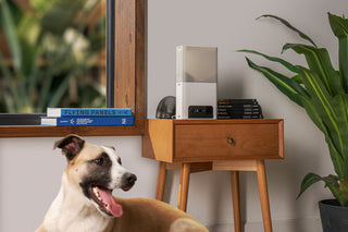 Petcube Bites 2 Lite 室内用ペット見守りカメラ(おやつディスペンサー搭載)