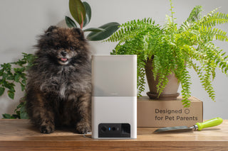 Petcube Bites 2 Lite 室内用ペット見守りカメラ(おやつディスペンサー搭載)