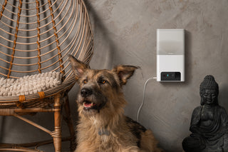 Petcube Bites 2 Lite 室内用ペット見守りカメラ(おやつディスペンサー搭載)