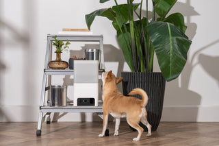 Petcube Bites 2 Lite 室内用ペット見守りカメラ(おやつディスペンサー搭載)