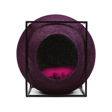 Plum
